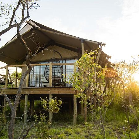 Mdluli Safari Lodge هازيفيو المظهر الخارجي الصورة