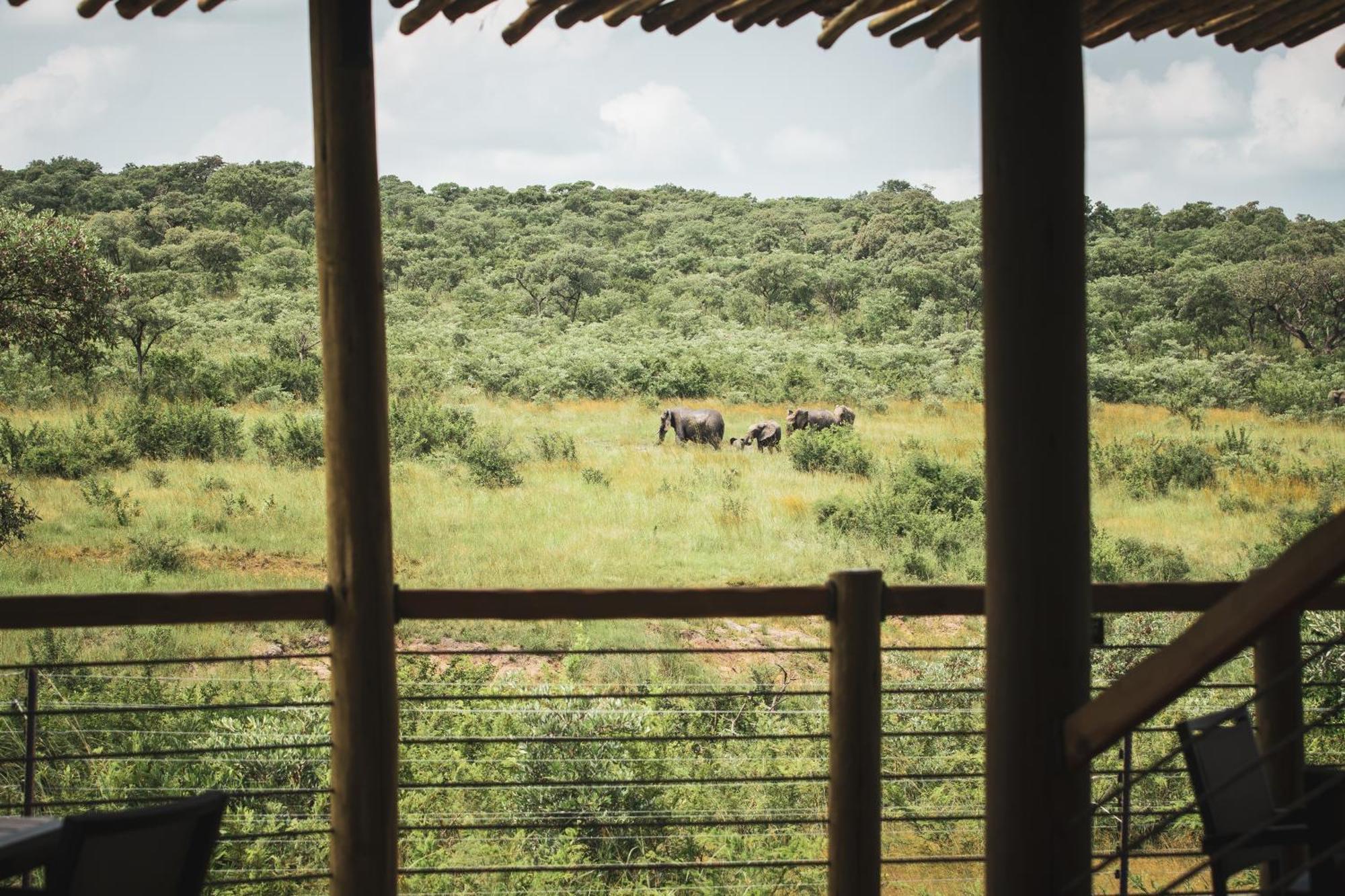 Mdluli Safari Lodge هازيفيو المظهر الخارجي الصورة